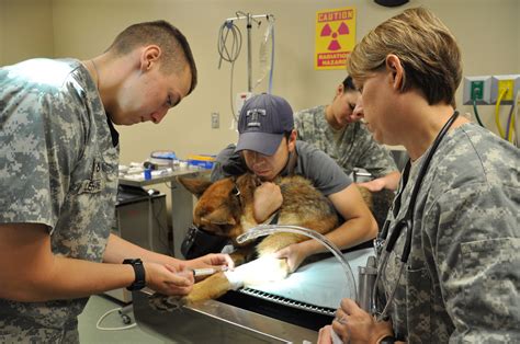 Animal care specialists learn critical skills in support of Veterinary