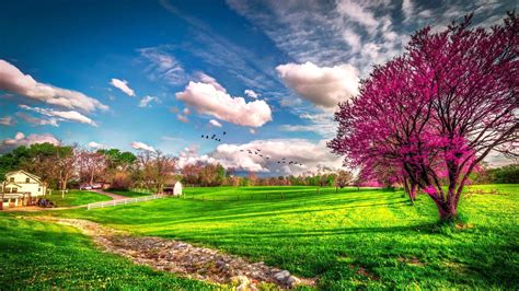 Landscape Beautiful Spring Nature Hd Wallpaper Wallpaper Download 2560x1440