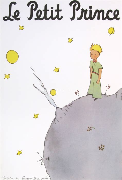 Avant de s'intéresser à l'histoire et à sa richesse, quelques mots sur l'auteur : Picture This | G1367 - Le Petit Prince