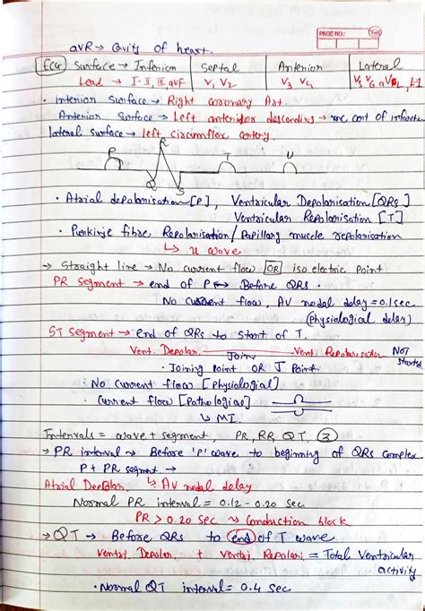 SOLUTION Integrated Physiology Of Cardiovascular System Studypool