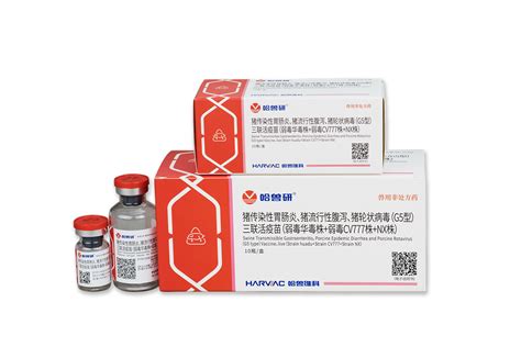 cv777 hk