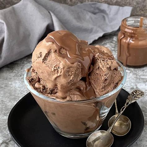 Easy Vegan Chocolate Ice Cream Recipe Savory Spin