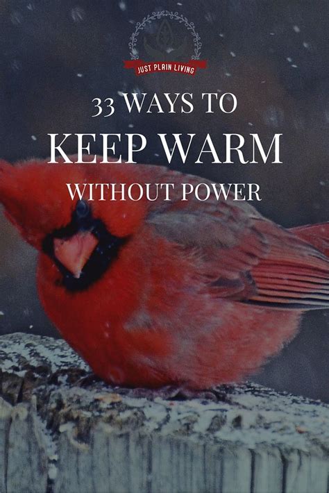 33 Ways To Keep Warm Without Heat Or Electricity Canada Warm And We
