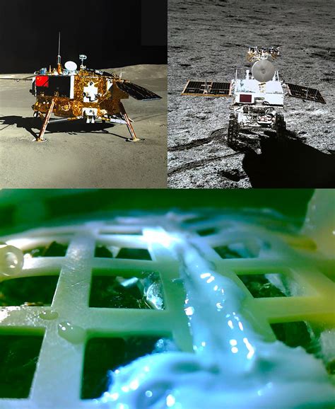 China Chang E Lunar Probe Has Grown First Plants On The Moon Image