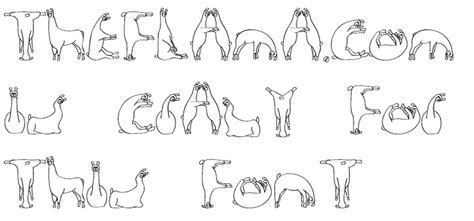The wild camel (camelus ferus), a new and separate species, lives in three separated habitats in china and one in mongolia. Vegetarian Pig Lover: Happy Llama, Sad Llama