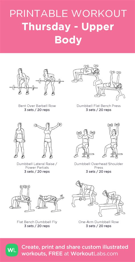 The abdomen (commonly called the belly) is the body space between the thorax (chest) and pelvis. Thursday - Upper Body: my visual workout created at ...