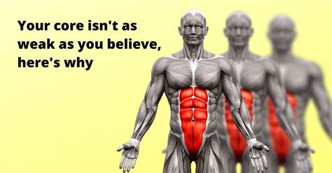 your core isn t as weak as you believe here s why modern fundamentals of chiropractic 1