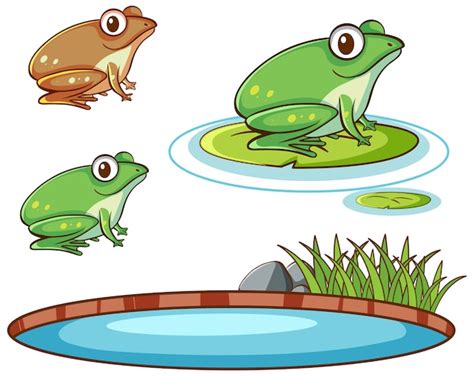 Isolated Picture Of Frogs And Pond Free Vector