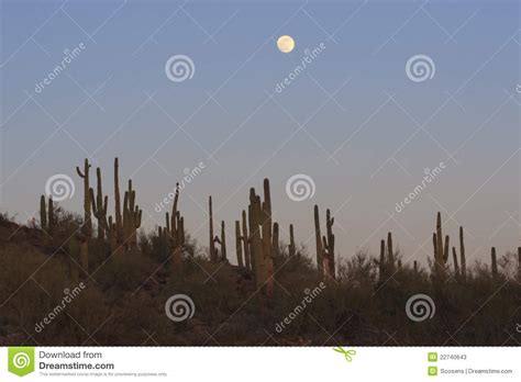 Full Moon Over Desert Stock Image Image Of Landscape 22740643