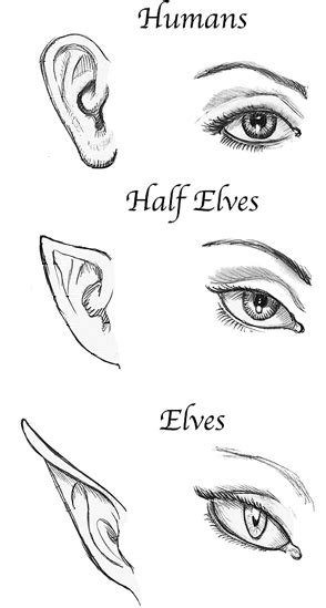 Half Elves As Usually Defined Are Humanoids Born Through The Union Of