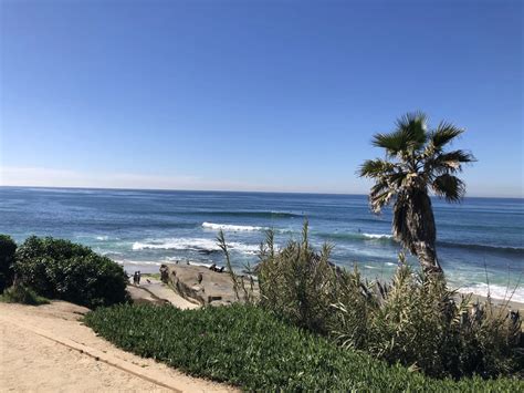 Windansea Surf Spot Review La Jolla Go Surfing Sd