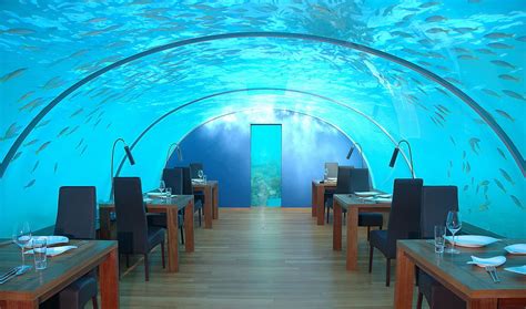 Het Fiji Poseidon Undersea Resort S Werelds Eerste Onderwaterresort