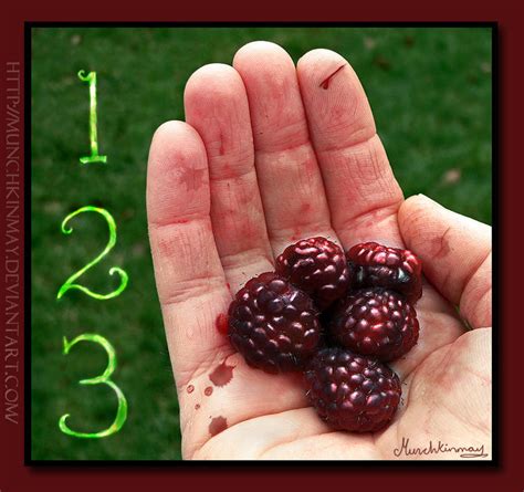Nightlock berries. 'The count of three' by Munchkinmay on DeviantArt