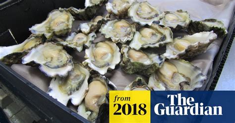 Sydney Rock Oysters Getting Smaller As Oceans Become More Acidic Sydney