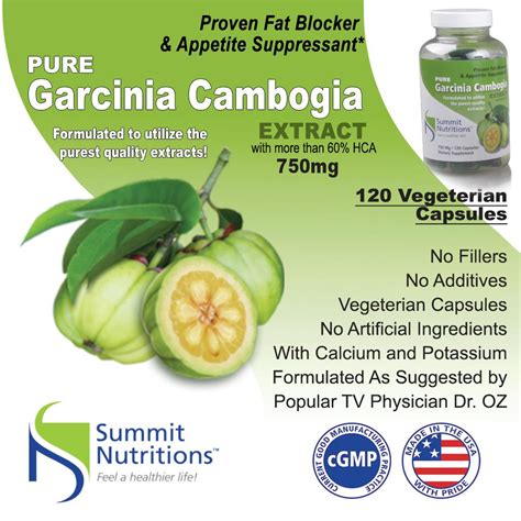 summit nutritions pure garcinia cambogia extract with more than 60 hca 750 mg