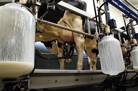 The New World Of Canadian Dairy Pricing Agcanada Agcanada