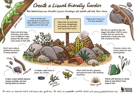 Snakes, birds, cats, and other reptiles are predators of fence lizards. Create a Lizard Friendly Garden - Predator Free NZ