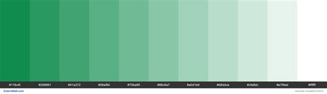 Money Green Colors Palette Colorswall