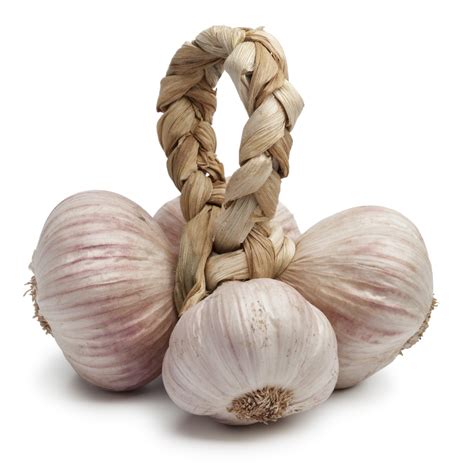 What Are The Different Types of Garlic?