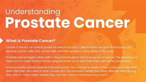 Prostate Cancer Factsheet CAMCEVI