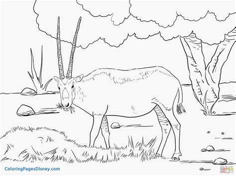 Wildebeest Coloring Page At Free Printable Colorings