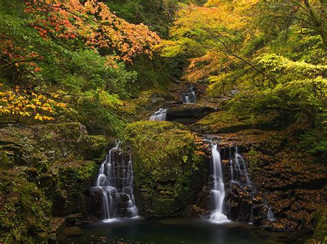 Image Leaf Autumn Stream Nature Waterfalls Forests Moss