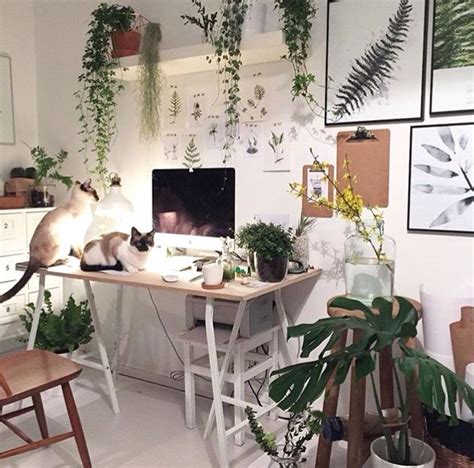 32 Office Plants Youll Want To Adopt オフィス空間のデザイン ホームオフィスのデザイン インテリア
