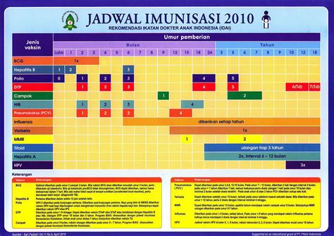 All suppliers 120 15 160 25 400 75 fashion supplier. Jadwal Imunisasi Untuk Bayi Usia 2 Bulan - Tanya Alodokter