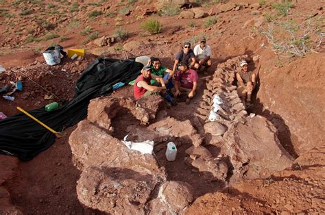 Dinosaur discovered in Argentina could be largest ever ...