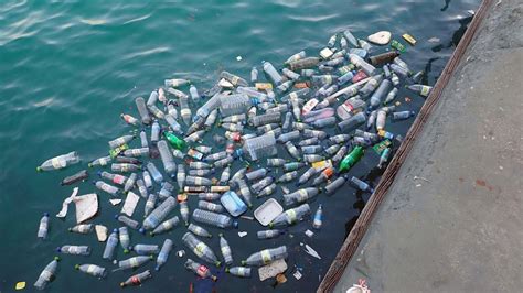 Déchets Plastiques Et Pollution Des Océans