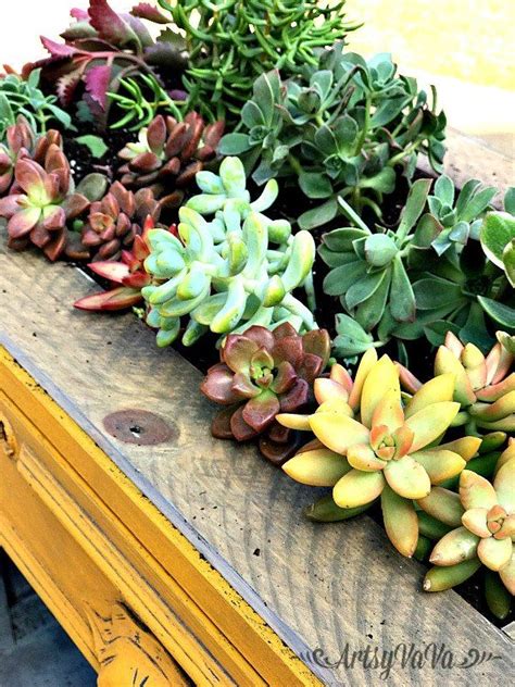 The succulents need little more than sun, well drained soil and rare moisture. Succulent Table | Succulents, Easy garden, Succulent planter
