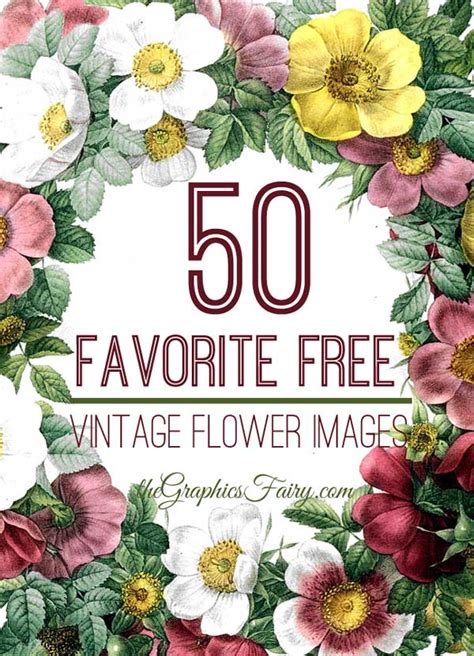 5 Best Images Of Free Printable Prints Of Flowers Vintage Hydrangea