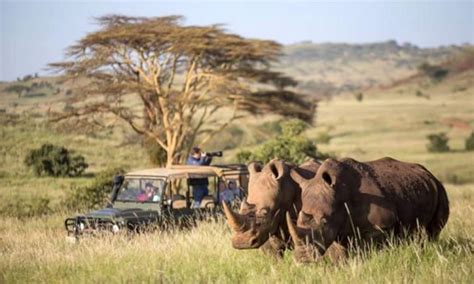 4 Days Masai Mara Luxury Safari Kenya Safari Tours