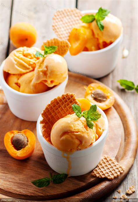A versatile fruit that can be turned into a surprising number of entrees, mains, and desserts, including. Apricot Ice Cream Recipe | RecipeLand.com