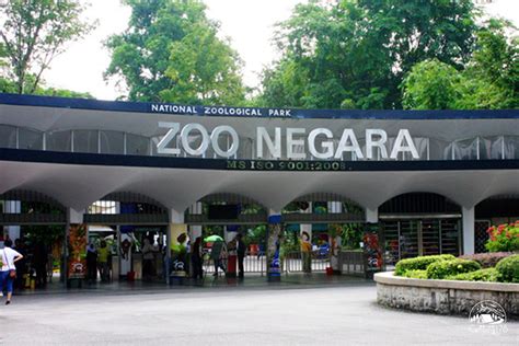 Zoo Negara Kuala Lumpur Camping178 ~ 一起去露營吧