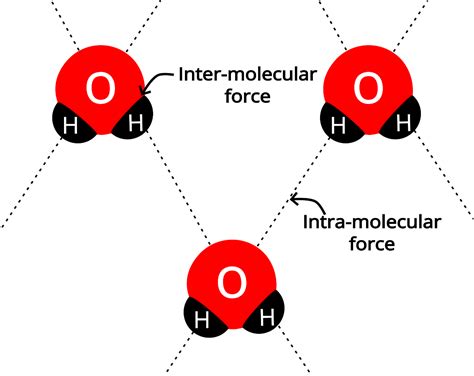 Intramolecular Vs Intermolecular Forces PSIBERG