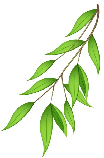 Green Branch PNG Transparent Clip Art Image In Flower Drawing Botanical Flower Art