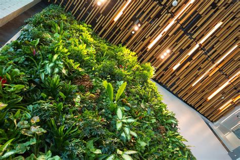 The Benefits Of Living Walls Jl Architects