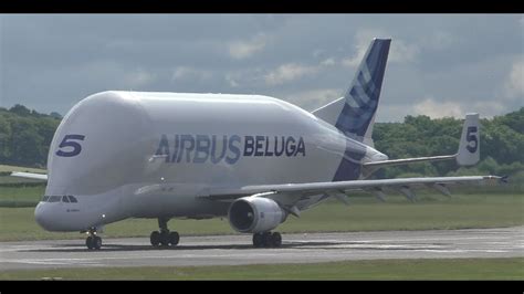 (cnn) — airbus recently made a big splash with its design for the latest version of its beluga transport airplane, and now the company reports the first of five aircraft has successfully finished its first test. *Rare* Airbus Beluga Takeoff at Prestwick Airport - YouTube