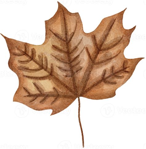 Watercolor Leaves Clip Art 16540983 Png
