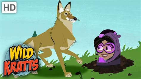 Wild Kratts Groundhog Wakeup Call Full Episode Season 2 Youtube