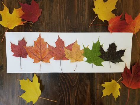 Shine Bright 3 Fall Bible Lessons And Leaf Art For Kids