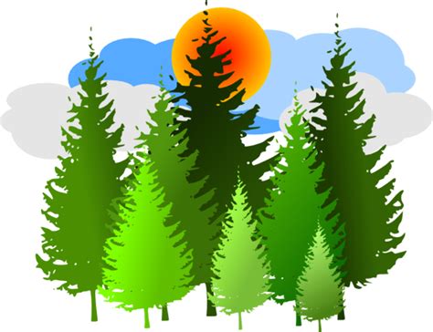 Download High Quality Tree Clipart Forest Transparent Png Images Art