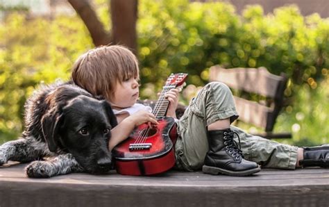 Cute Boy Playing Guitar With Dog Wallpapers