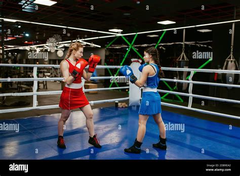 Women In Gloves Boxing On The Ring Box Workout Female Boxers In Gym Kickboxing Sparring