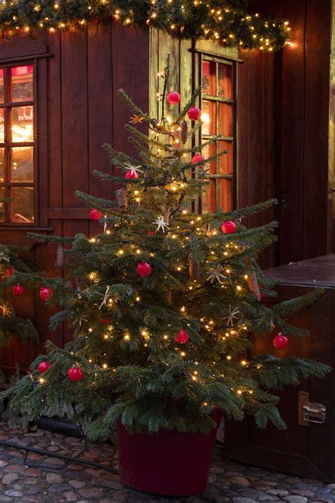 Chacun de nous a ses propres idées sur la décoration, mais il existe des idées créatives et des règles de base importantes qui peuvent vous. Comment décorer un sapin de Noël à l'extérieur
