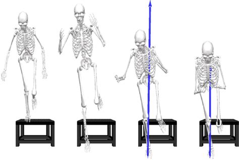 Temporal Depiction Of The Single Leg Landing Task Download