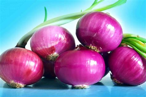 Onion Nutrition 10 Impressive Health Benefits Of Onions