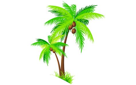 Coconut Tree Png Vector