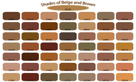 Shades Of Brown Color Isolated On White Background Brown Tones And